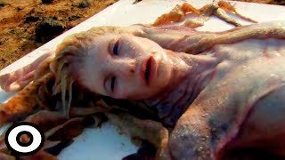 10 Real Mermaid Sightings Stranger than UFOs