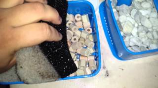 Canister filter setup