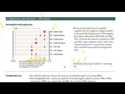 USMLE - 5  Hemoglobin electrophoresis | USMLE STEP 1 | (USMLE Step 1)