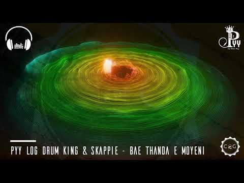 PYY Log Drum King & Skappie - BAE THANDA E MOYENI (Visualizer) | Feels Like Home Vol.1
