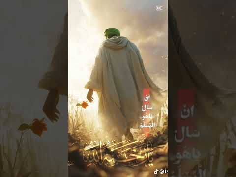 فرعنه ماكو معمم اجمل لطمية رجال العز عباس عجيد العامري لطميات Shorts Video ترند اكسبلور