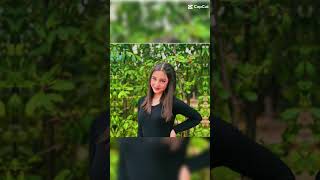 Tik Tok Di Iris Domenico