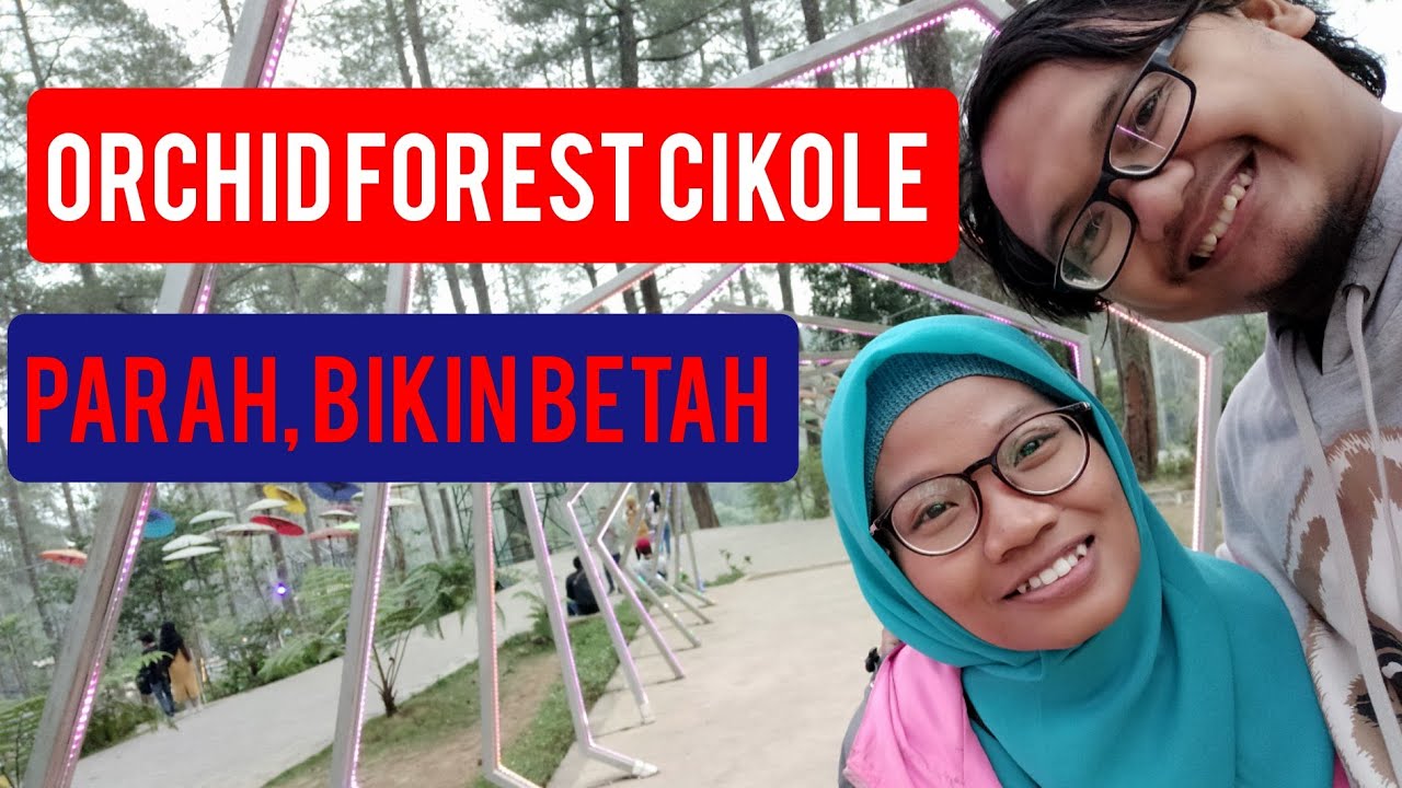 Wisata Alam Orchid Forest Cikole Lembang Bandung  YouTube