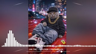 Download lagu TRC - WAYASE ‼️ CANTIKNYA (JHONZER SOUND) Mr Adam REMIX