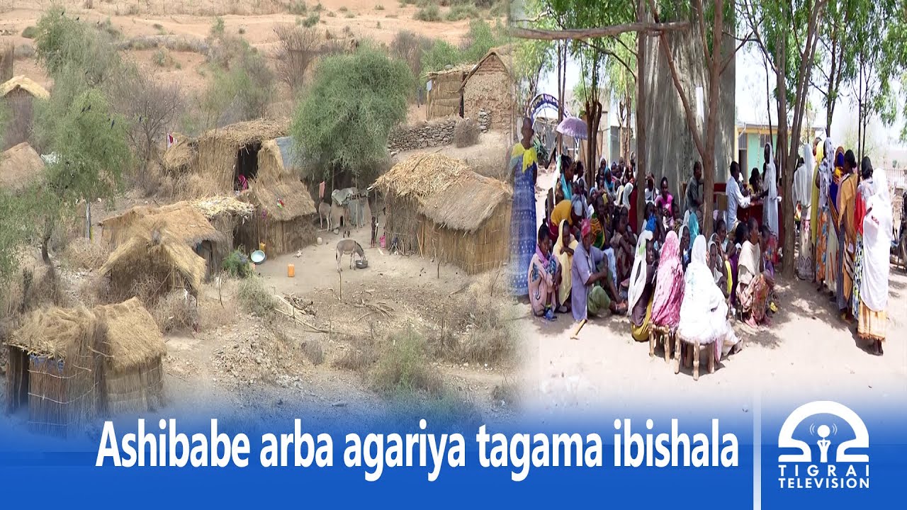 Ashibabe arba agariya tagama ibishala | 