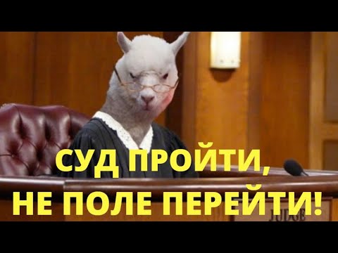 Видео: Пол Кругман Собственный капитал: Вики, Женат, Семья, Свадьба, Заработная плата, Братья и сестры