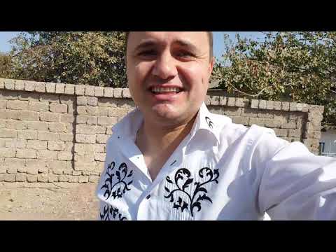 Ансамбль 'МАШАЛЛА '