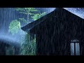 Relaxing Rainstorm | Fall Asleep Fast with Thunder Sounds