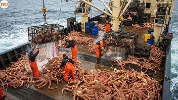 Bắt Cua Hoàng Đế Khổng Lồ Giữa Vùng Biển Khắc Nghiệt Alaska - Câu Cua Hoàng Đế Hoành Tráng