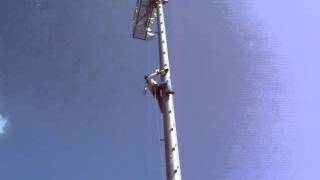 Nest removal on UT light pole