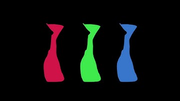 MI Mask Interpolation starter1