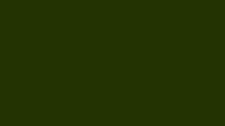 A Color a Day: Onyx Chartreuse - #223300 rgb(34, 51, 0) - 2026-02-16 — Color Screensaver