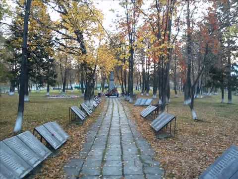 Калина свердловская область