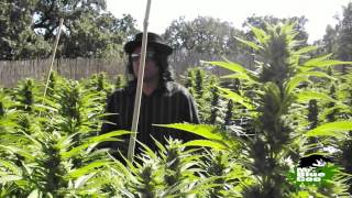 outdoor1