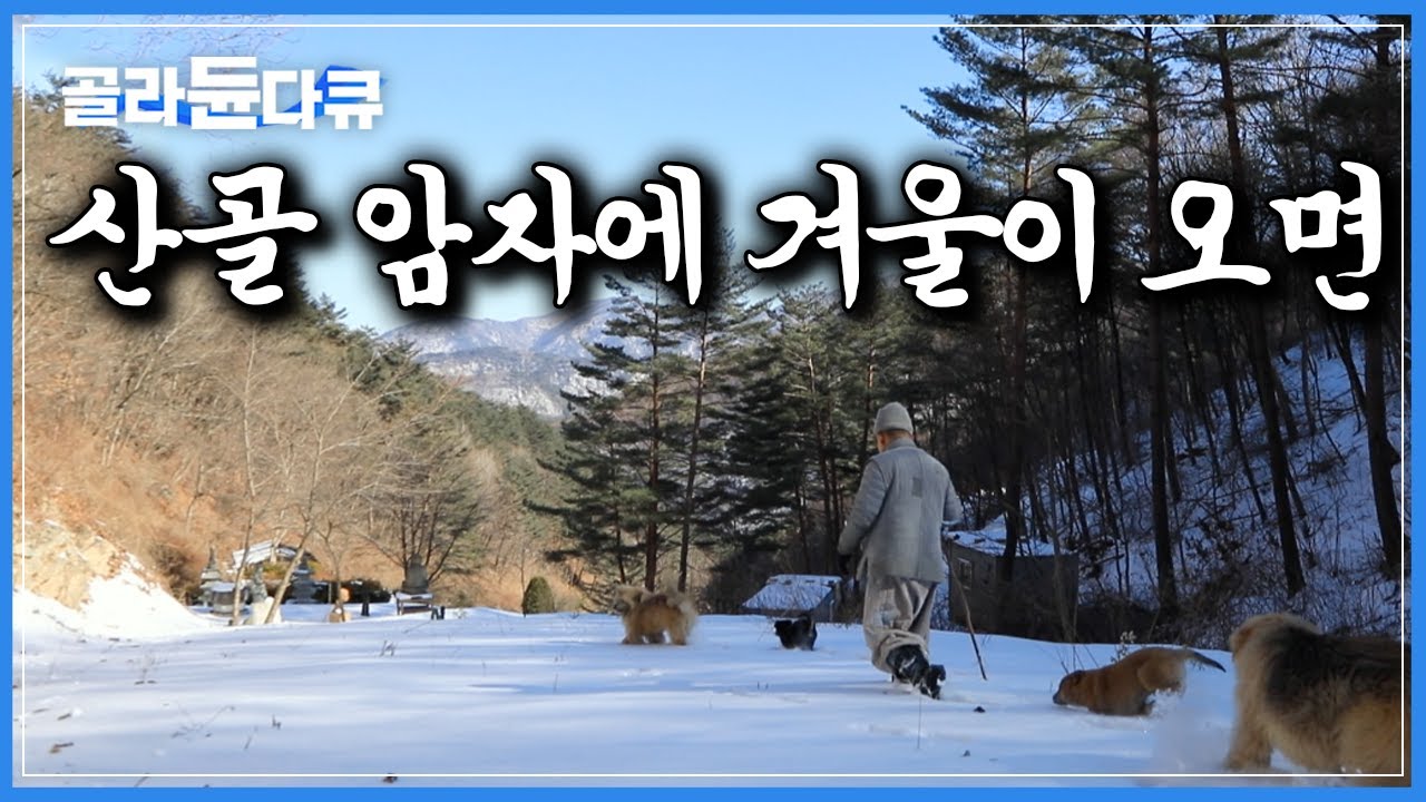 겨울이면 먹을 것도 떨어진다｜강아지 4마리와 함께 폭설로 고립된 암자에서 스님이 살아가는 법｜한국기행｜#골라듄다큐