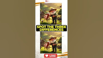 Spot the 3 Differences! Can You Find Them All?