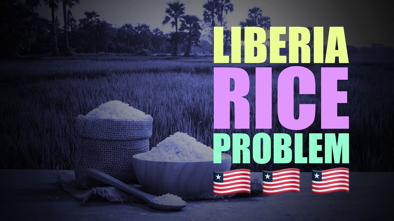 Liberia Rice Riots, Rise & Fall Of Samuel Doe, The Downfall Of Tolbert (Tiawan Saye Gongloe)