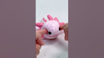 FUFUSQUISHY ASMR🦎🦎Axolotl