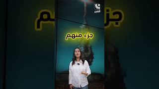 تفوق سرعة الصوت بأضعاف .. تعرفوا على الصواريخ التي مزقت هيبة القبة الحديدية الإسرائيلية