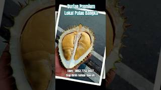 Download Lagu Durian Terbaik Dari Pulau Bangka. MP3