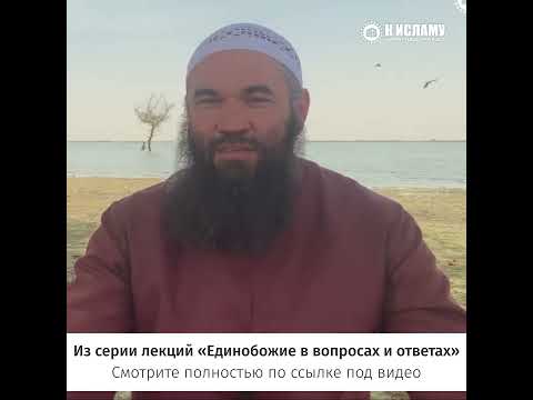 Разница людей в поклонении сердцем. Ринат Абу Мухаммад #shorts