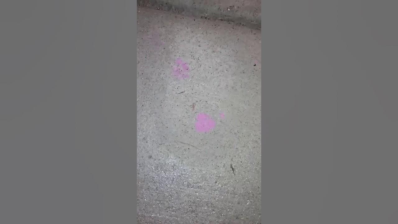 How to remove oil based paint from cement YouTube