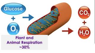 7 4 Atmospheric CO2 & Particulates Lecture