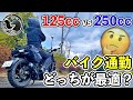 【暴露】元125cc乗りが250ccでバイク通勤して思った本音をお伝えします
