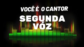 ZEZÉ DI CAMARGO  &  LUCIANO  - SERÁ QUE FOI SAUDADE  (PLAYBACK ORIGINAL COM 2⁰VÓZ) 1999