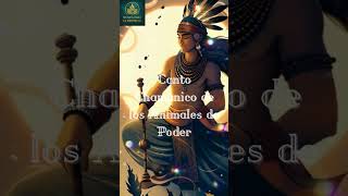 Canto Chamánico de los Animales de Poder #animalesdepoder #músicachamánica #musicapositiva #paz