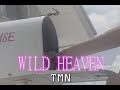 (カラオケ) WILD HEAVEN / TMN