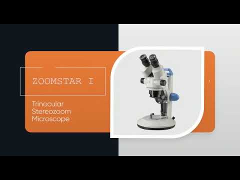 Dewinter Stereo Zoom Microscope