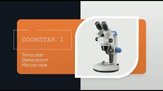 Dewinter Stereo Zoom Microscope