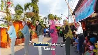 Ambane bokonge randa lagu viral tarling terbaru 2025