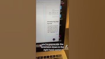 Brisk Teaching Extension