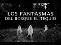 Fantasmas Del Bosque El Tequio (Guerrero De Luz)