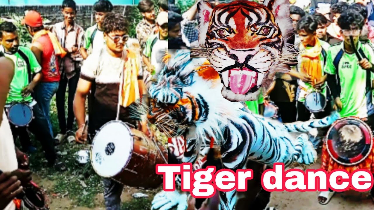 Tiger dance || Malancha Mata puja Sher baja ||  Sher dance 2025 🐯 ||