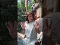 Мастер-класс по рисованию в тропическом саду с пальмами, водопадом и черепахами