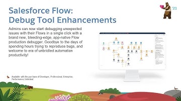 Apps: Application Development: Salesforce Flow: Debug Tool Enhancements