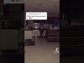 Notando fãs no tik tok 🐾