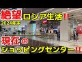 【衝撃】商品棚はスカスカ⁉️