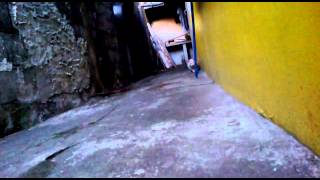 Stalking Cat.mp4