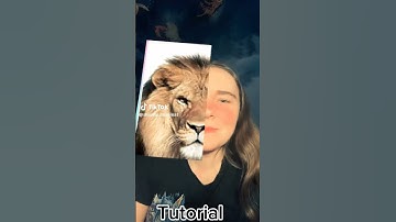 Tutorial filter #video #funny #shorts