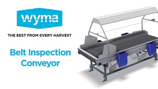 Wyma Belt Inspection Conveyor
