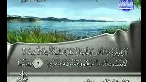 سورة التحريم فارس عباد - Surah At-Tahrim Fares Abbad