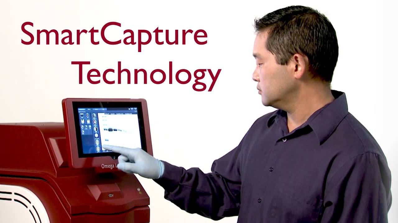 Aplegen - Virtual Conference Loop