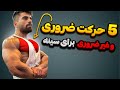 چجوری سینه های خفن بسازیم بهترین و بدترین حرکات برای ساخت عضله سینه