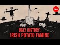 What really caused the irish potato famine  stephanie honchell smith