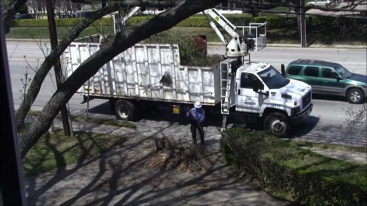 green waste pickup My Movie 13 YouTube