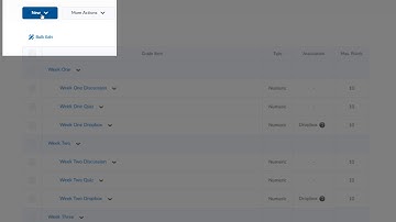 D2L: Gradebook adding categories and items